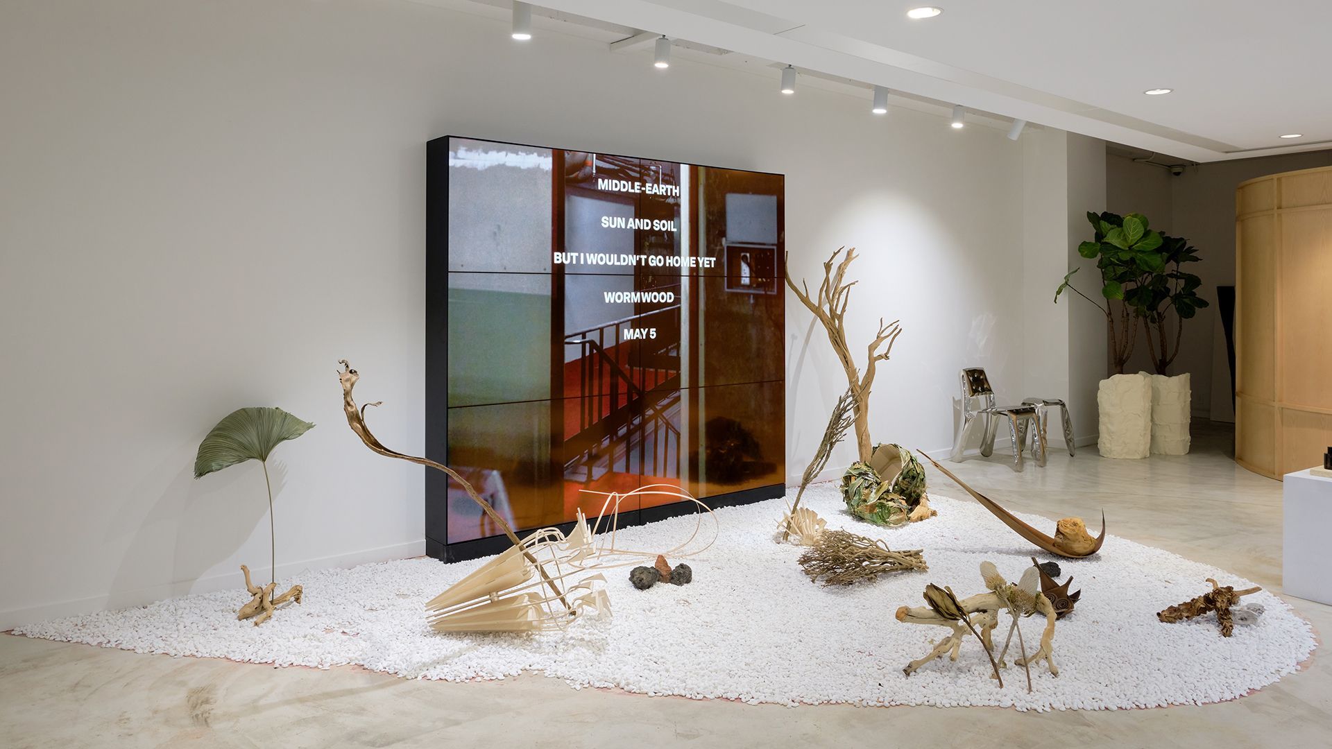 South Korea Flagship Store Sinsa store image 5