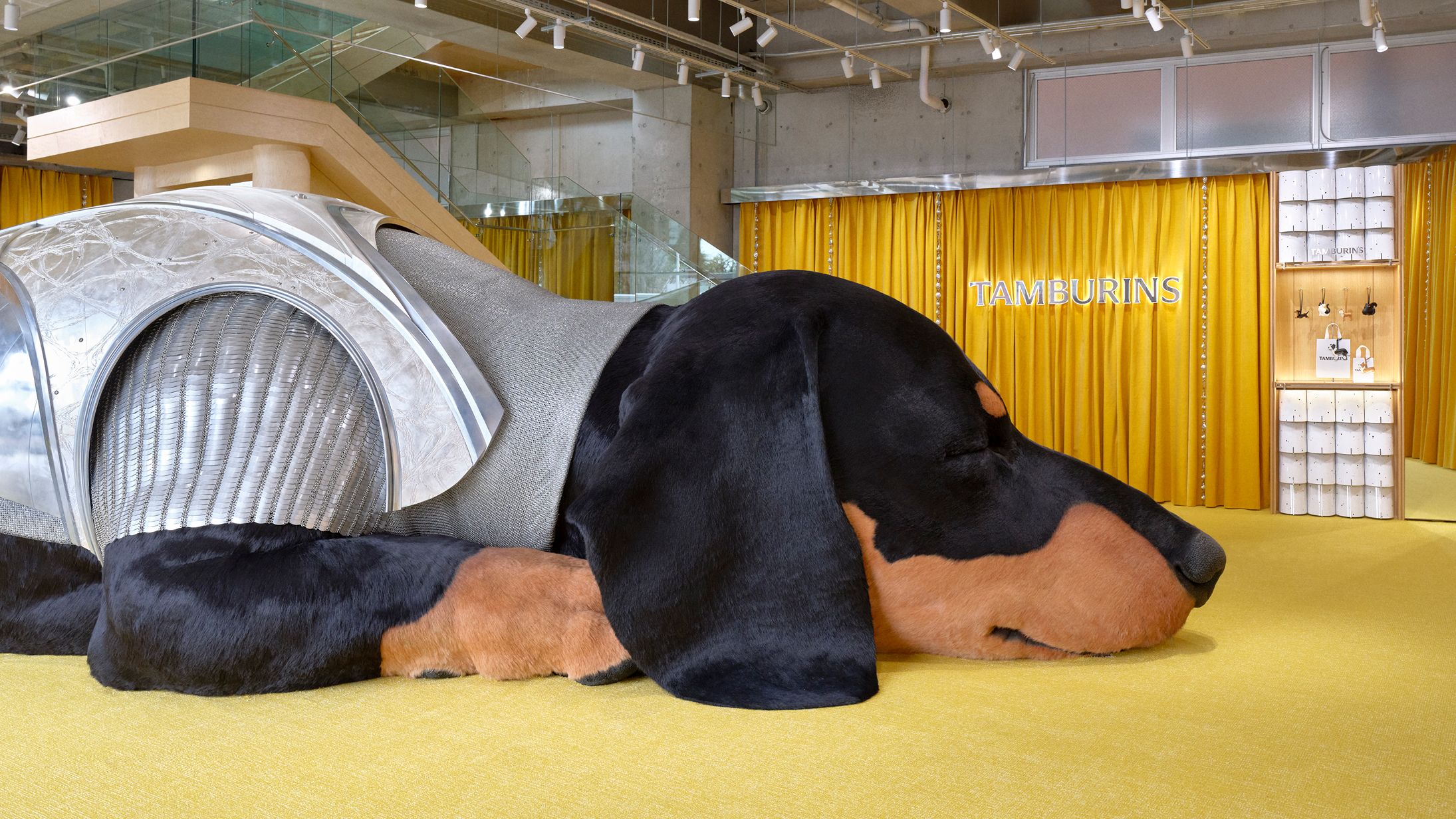 日本 TAMBURINS 代官山店 賣場形象 1